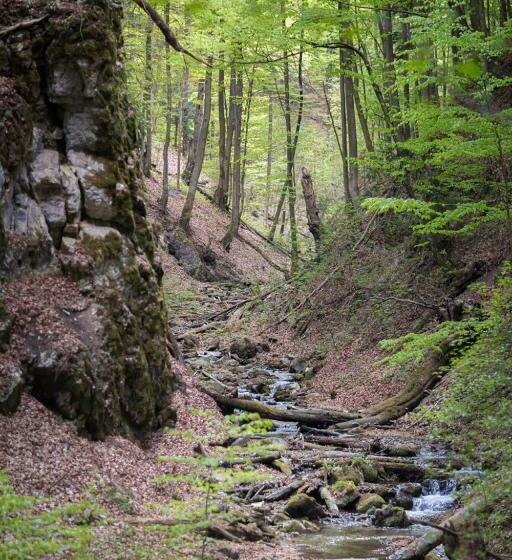 Пансион Penzion Hastrman
