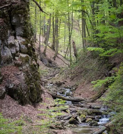 Majatalo Penzion Hastrman