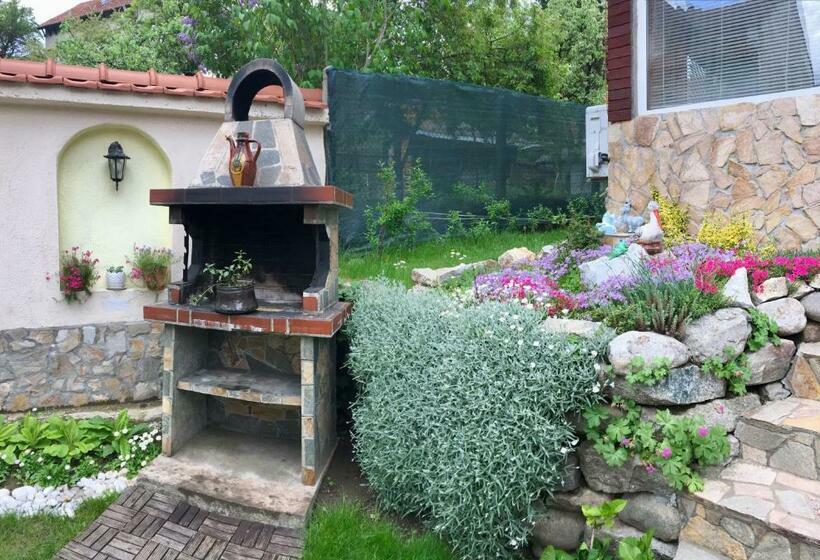 بنسيون Sunny House