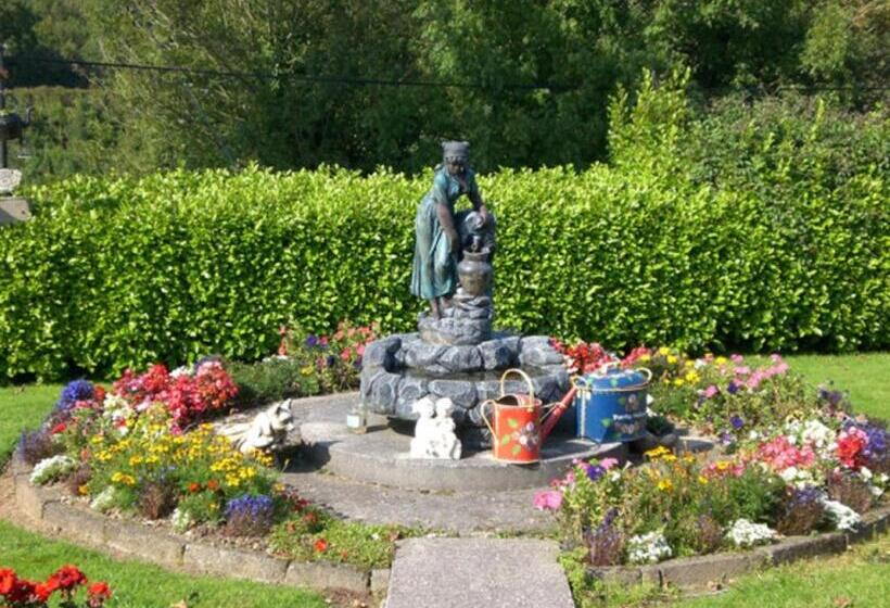 Bed and Breakfast Comeragh View