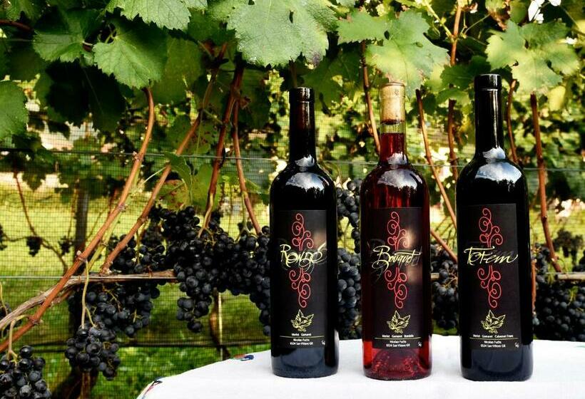 Bed And Breakfast Da Käthy Agriturismo