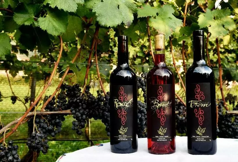 Bed And Breakfast Da Käthy Agriturismo