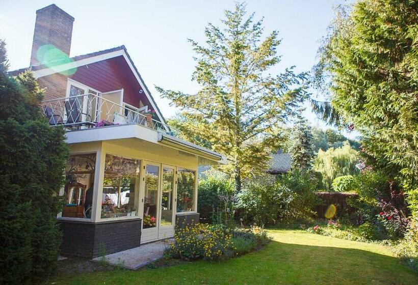 Bed And Breakfast Hoorn