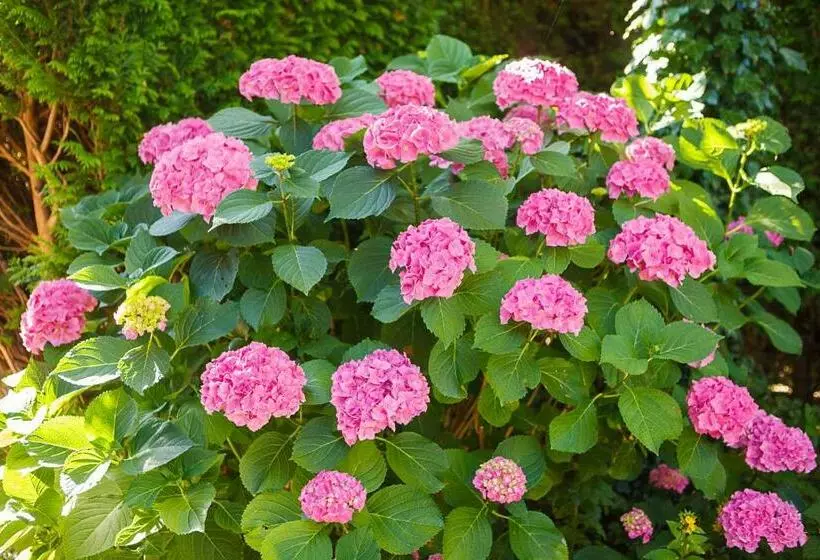 Bed And Breakfast Hoorn