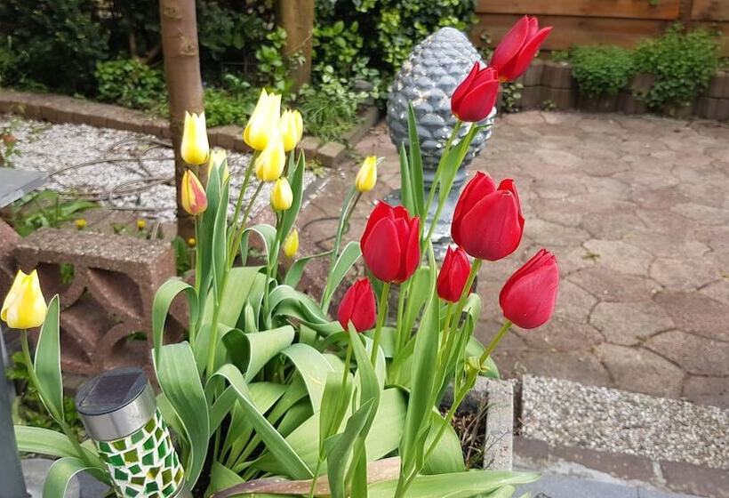 צימר Laag Holland