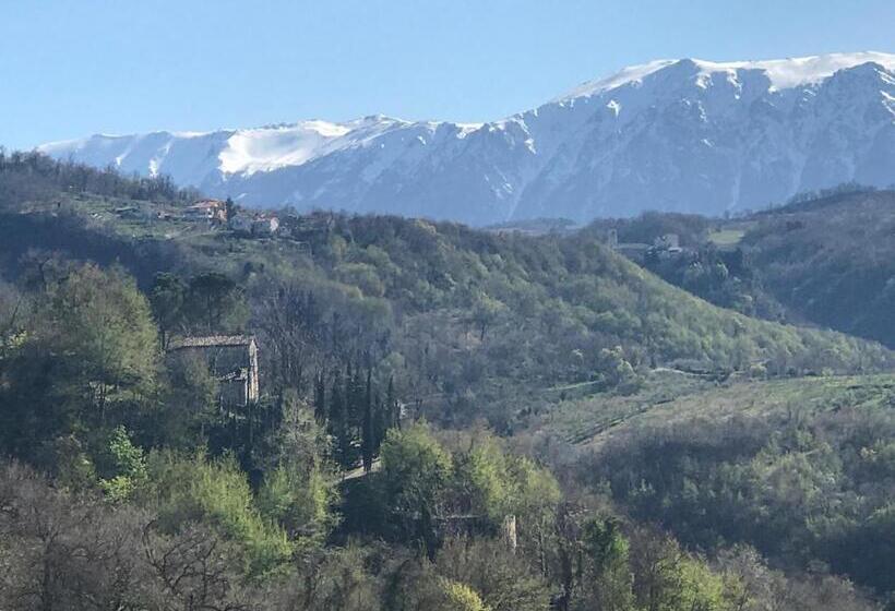 住宿加早餐  Mary S Dream