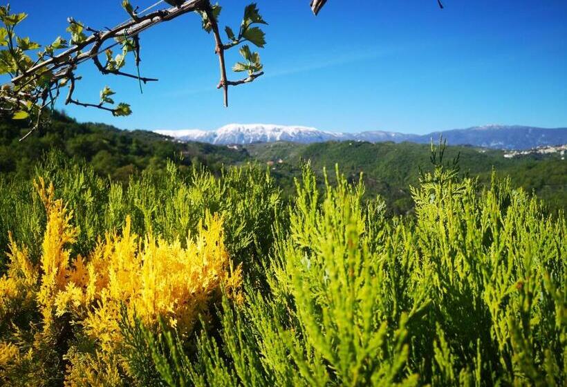 住宿加早餐  Mary S Dream