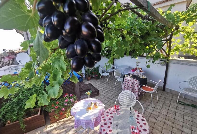 住宿加早餐  Mary S Dream