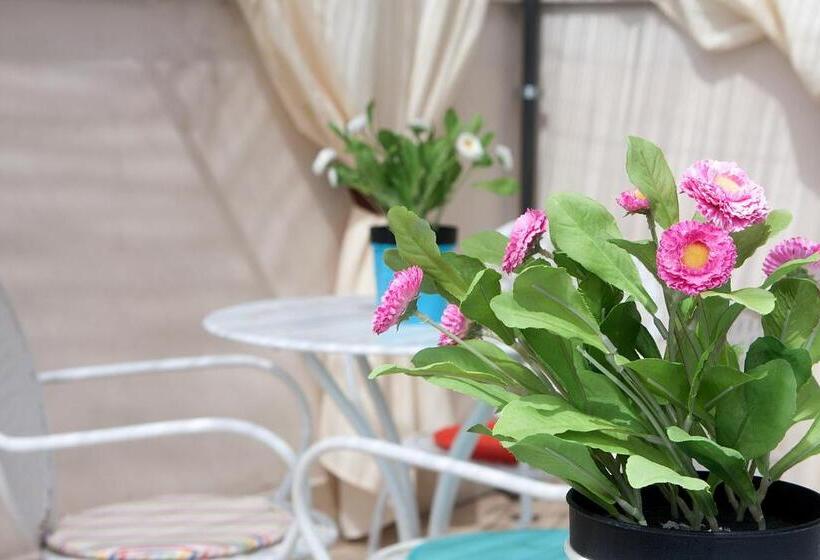 住宿加早餐  Mary S Dream