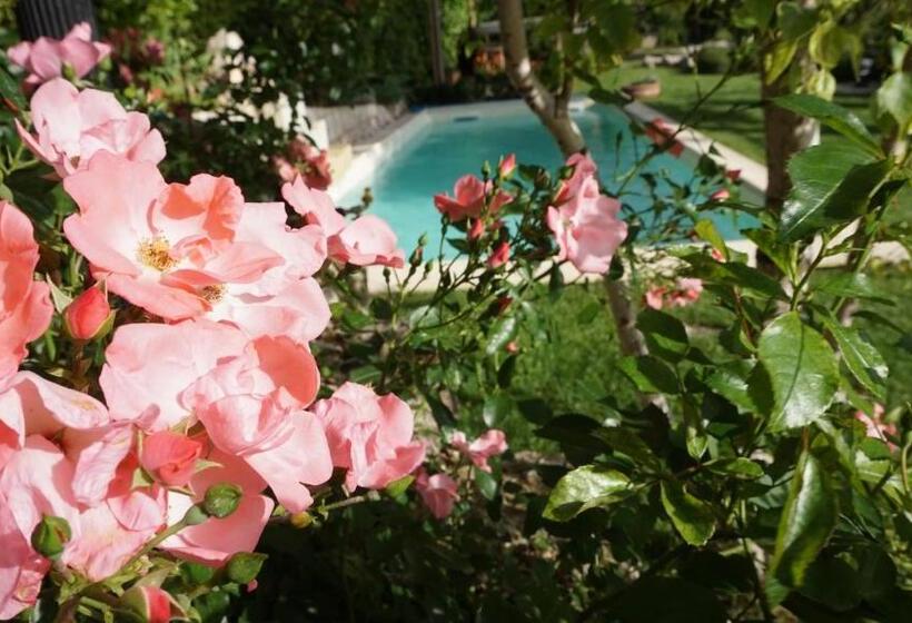 住宿加早餐  Mary S Dream