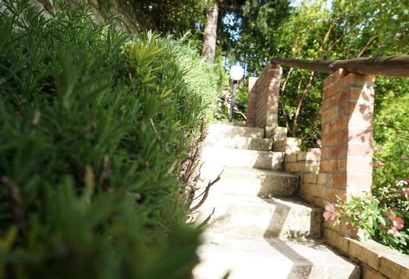 住宿加早餐  Mary S Dream