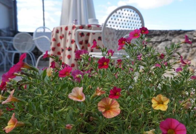 住宿加早餐  Mary S Dream