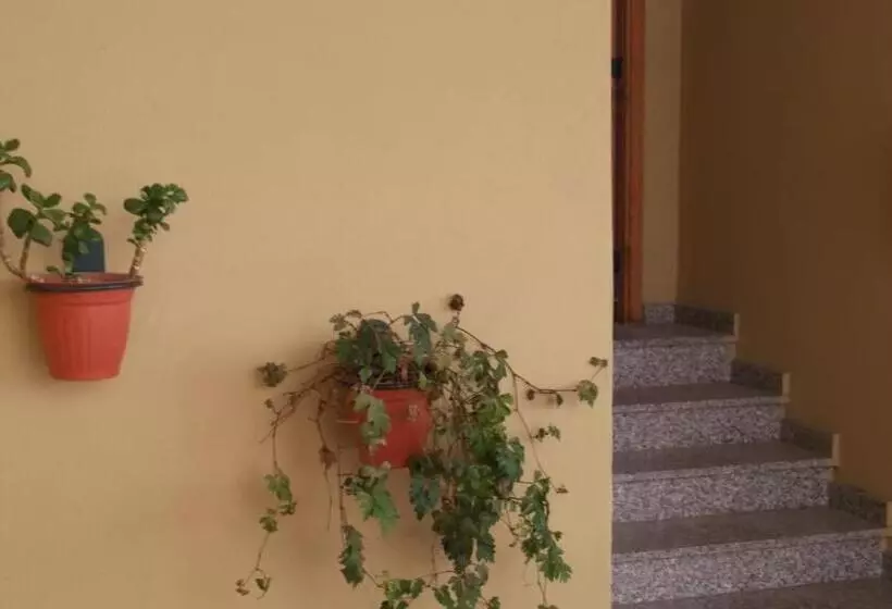 تختخواب و صبحانه Solimarina