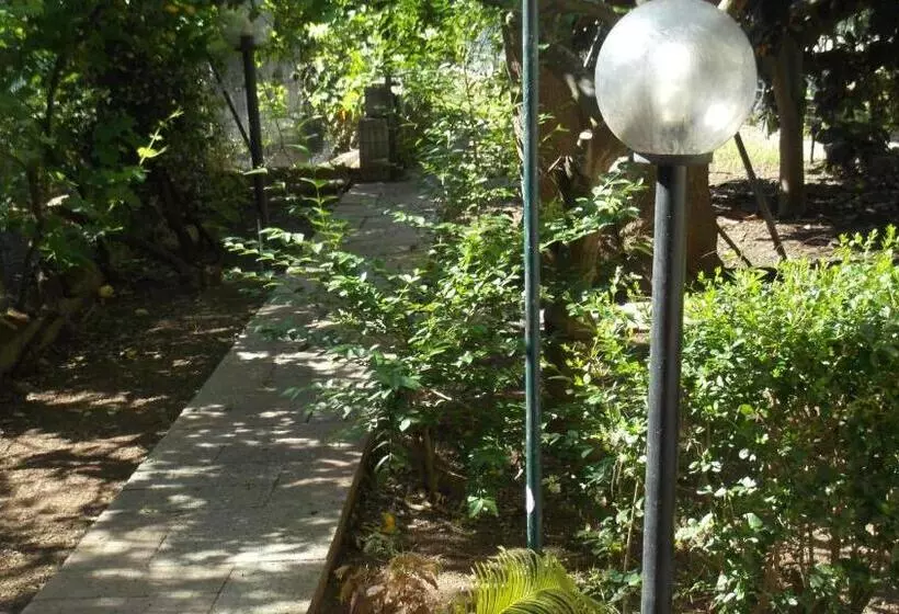 تختخواب و صبحانه Solimarina