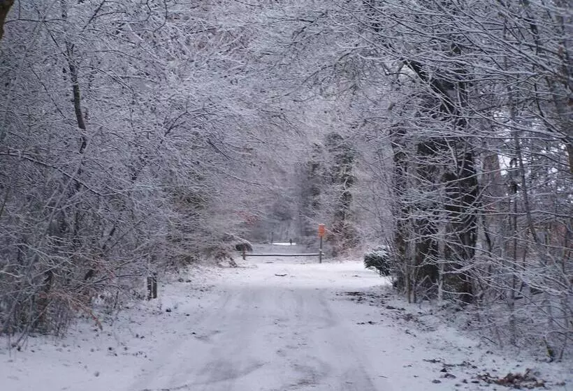 ベッドアンドブレックファースト T Ossenschot