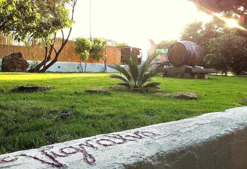 住宿加早餐 Vign Alva