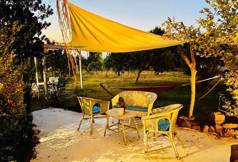 住宿加早餐 Vign Alva