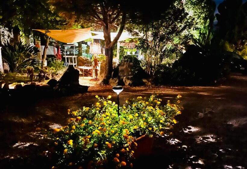 住宿加早餐 Vign Alva