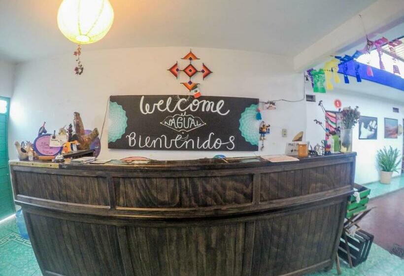 Hostel El Nagual
