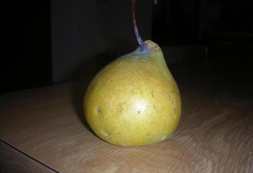 فندق Affittacamere La Fornace