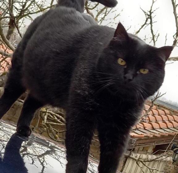 فندق Affittacamere La Fornace