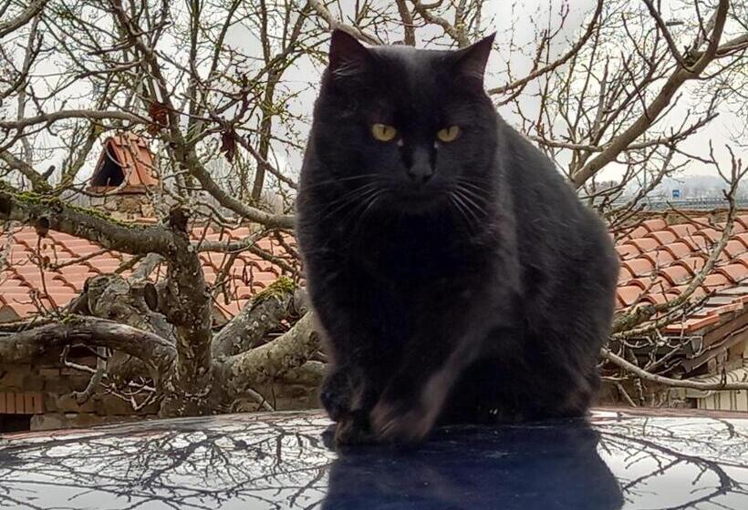 فندق Affittacamere La Fornace