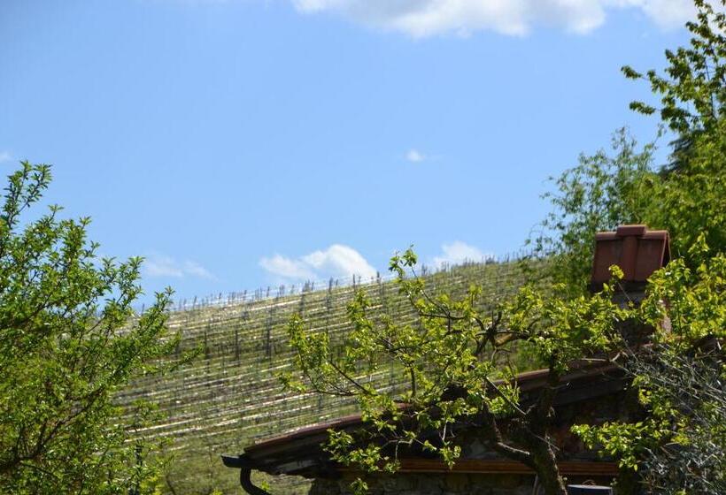 فندق Affittacamere La Fornace