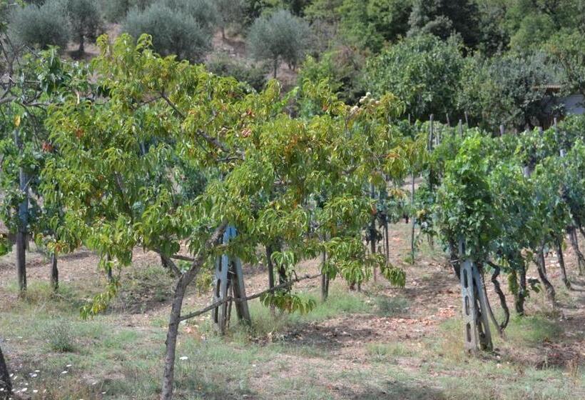 فندق Affittacamere La Fornace