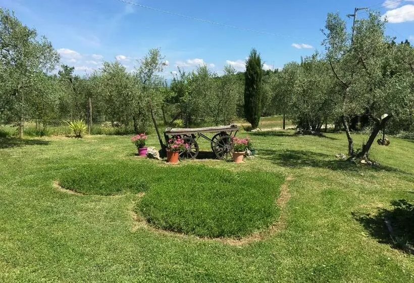 ホテル Agriturismo Podere Sottogello