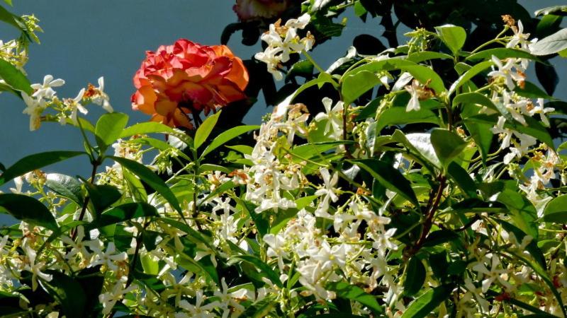 酒店 Agriturismo Podere Sottogello