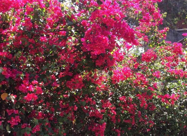 Пансион Casa Gundi Y Tomas