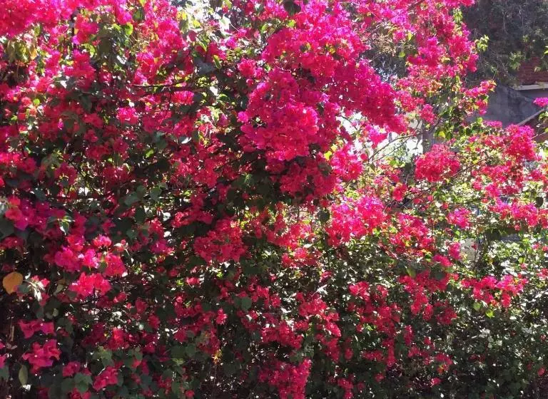 Majatalo Casa Gundi Y Tomas