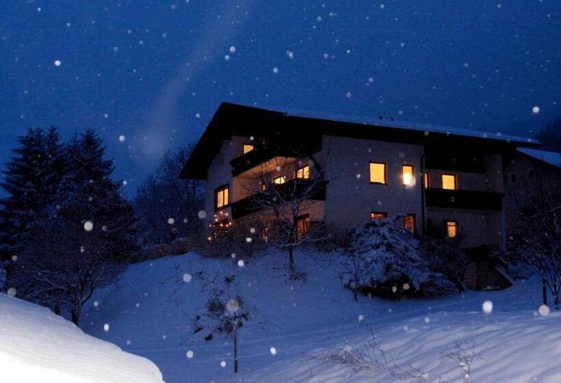 Пансион Gästehaus Steinerhof