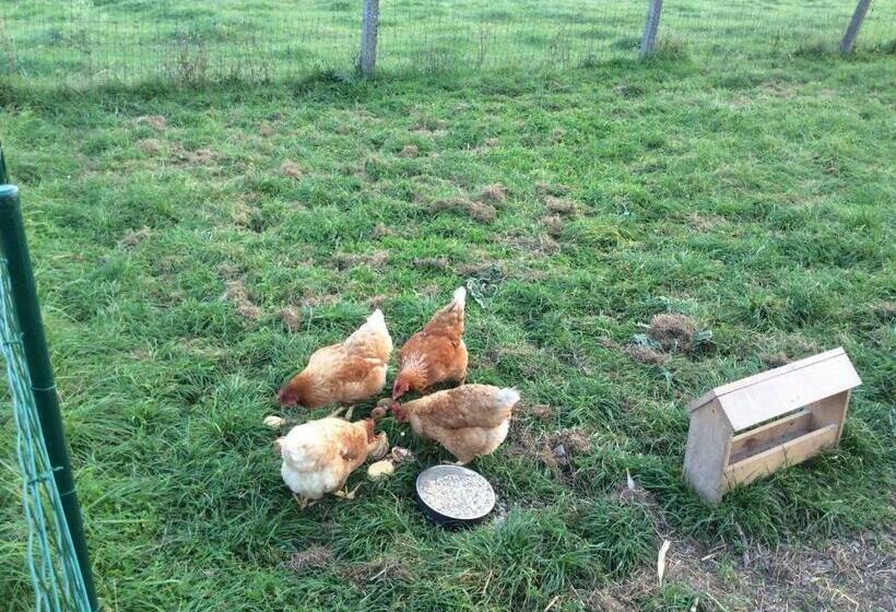 Пансион Kunstmin