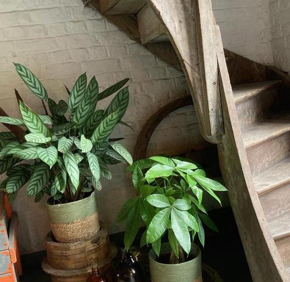 Пансион Kunstmin