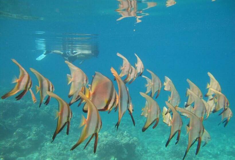 Punta Bulata White Beach Resort & Spa