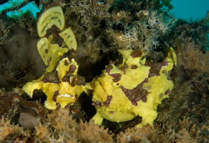 Punta Bulata White Beach Resort & Spa