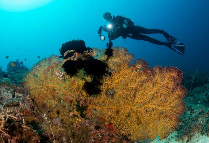 Punta Bulata White Beach Resort & Spa