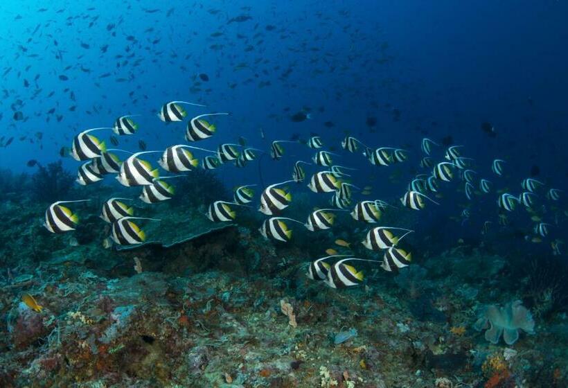 Punta Bulata White Beach Resort & Spa