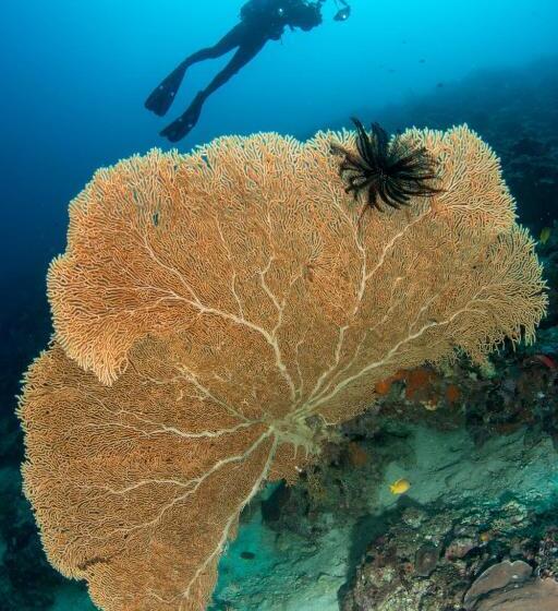 Punta Bulata White Beach Resort & Spa