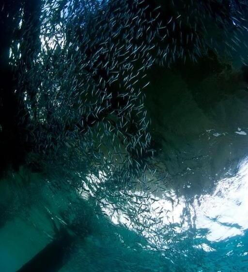 Punta Bulata White Beach Resort & Spa