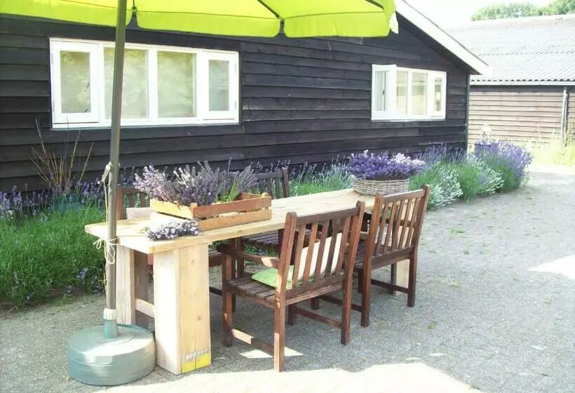 Aamiaismajoitus (B&B) De Sternhof