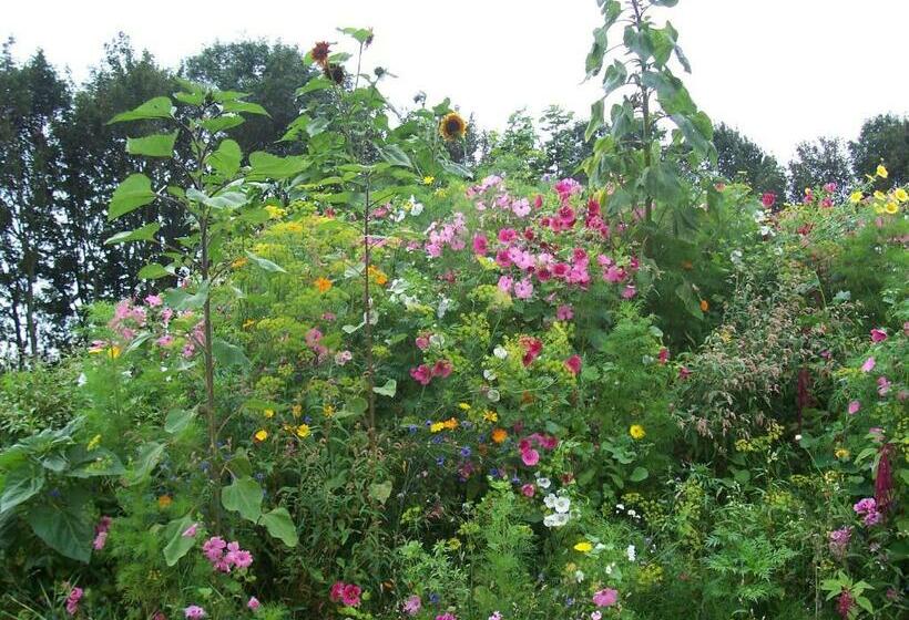 צימר De Sternhof