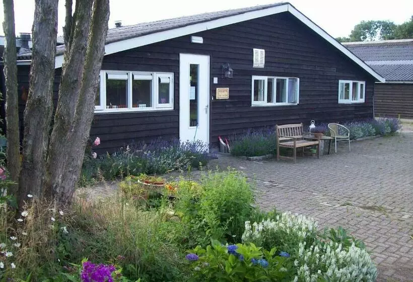 Aamiaismajoitus (B&B) De Sternhof