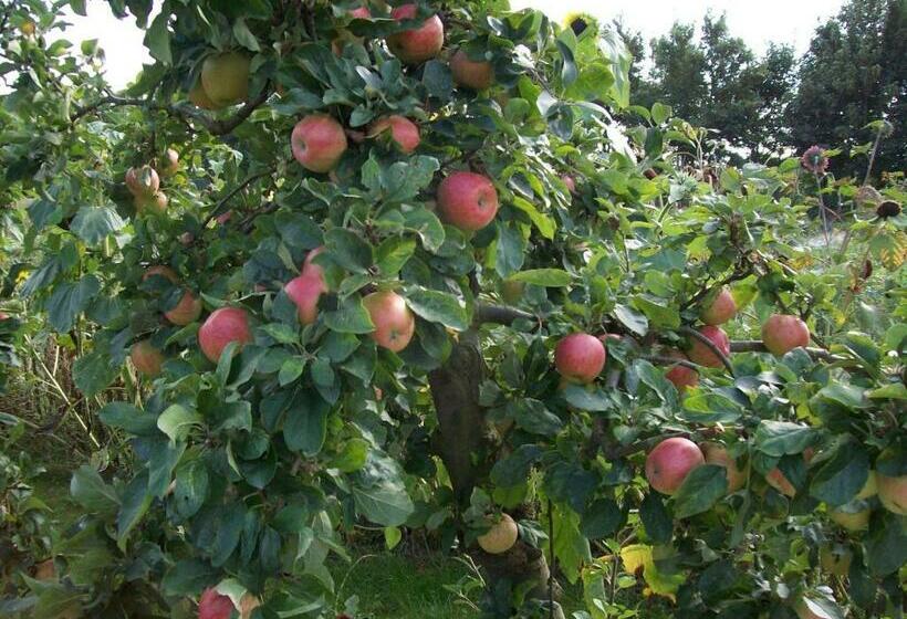 צימר De Sternhof