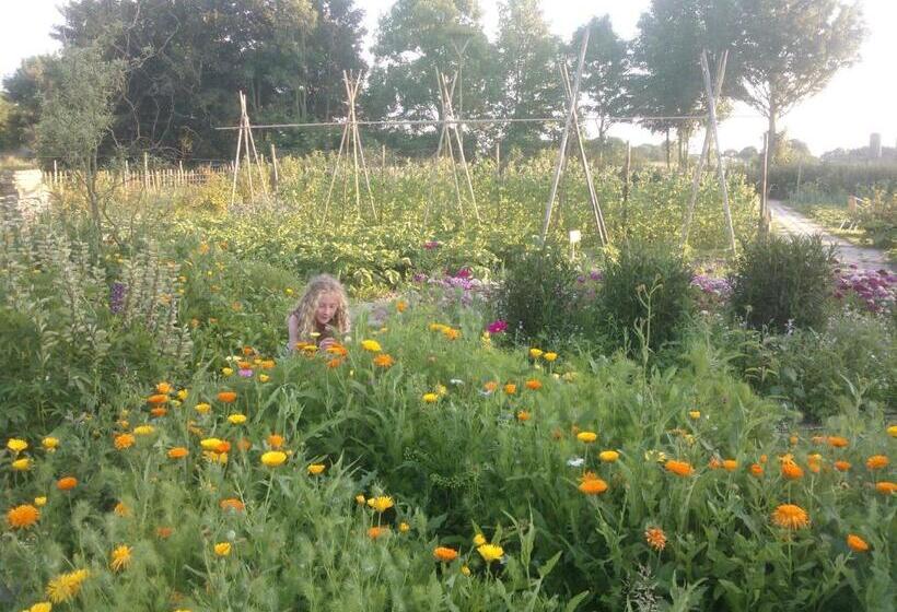 צימר De Sternhof