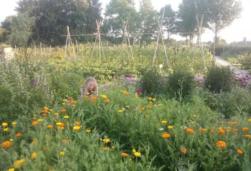 Aamiaismajoitus (B&B) De Sternhof