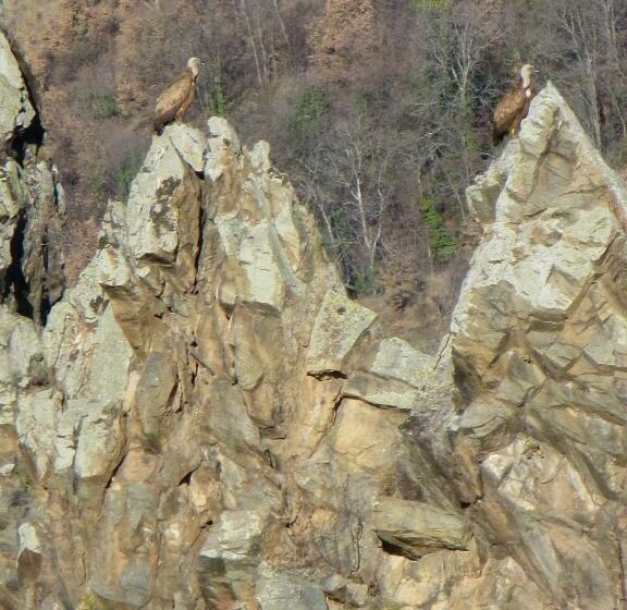 צימר La Fontaine Chambres D Hôtes