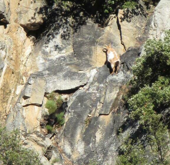 צימר La Fontaine Chambres D Hôtes