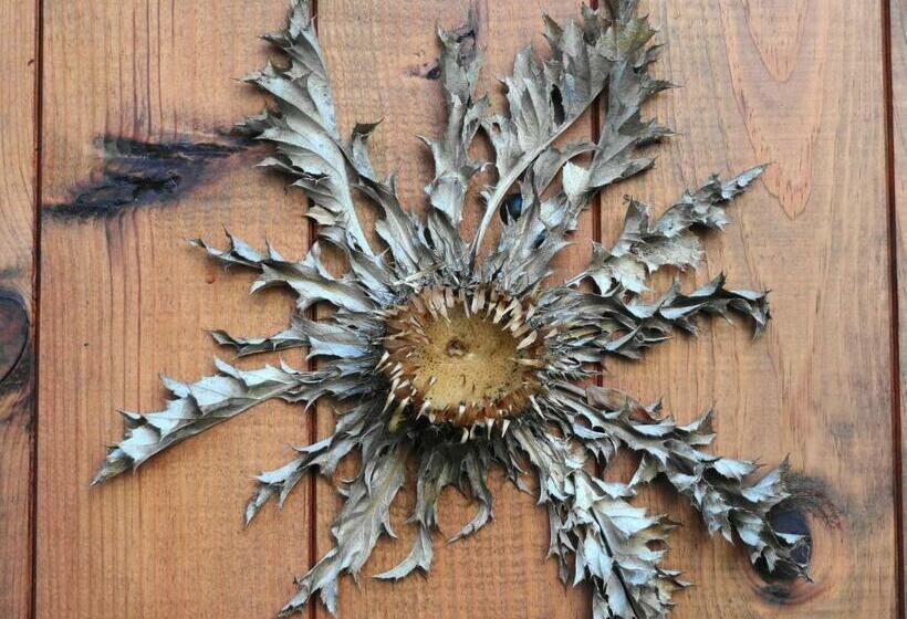 צימר La Maison D Hôtes